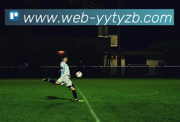 雨燕体育直播发展历程