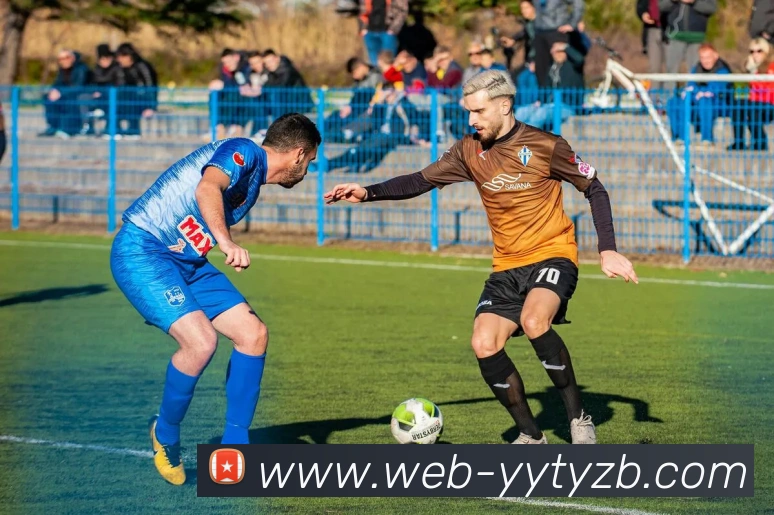 雨燕体育直播APP 体育赛事宣传图